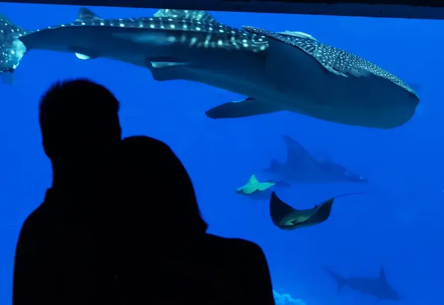2023.05.04 珠海长隆海洋王国